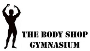 body-shop-logo1a_mini